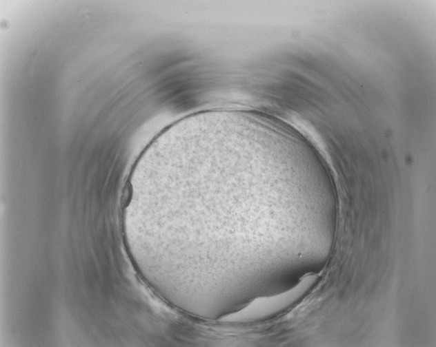 X0000088831488200706281743