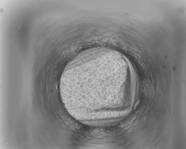 X0000088831489200706281742