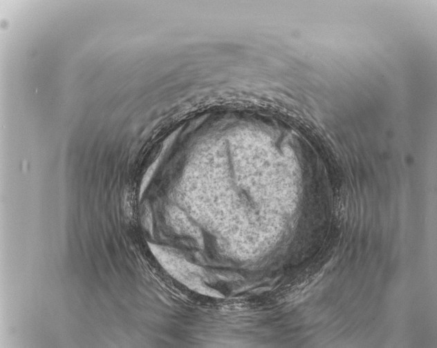 X0000088831490200706281742