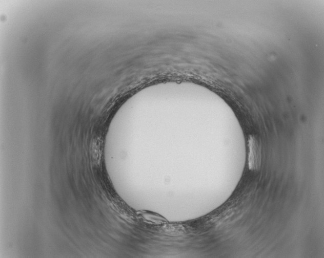 X0000088831491200706281742