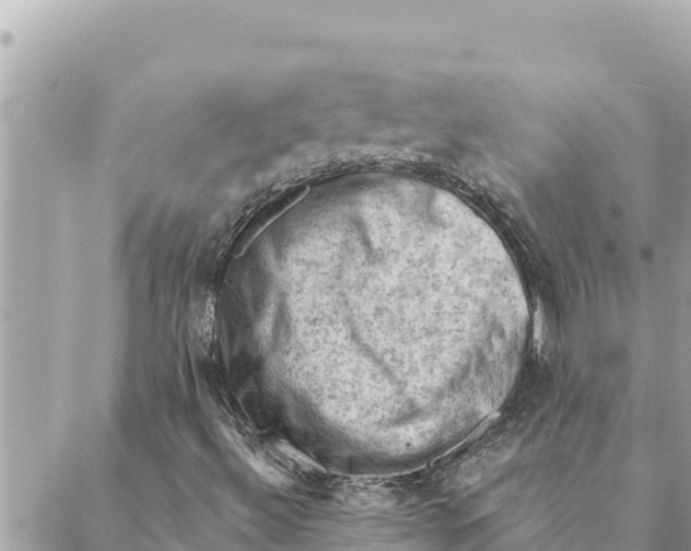 X0000088831492200706281742