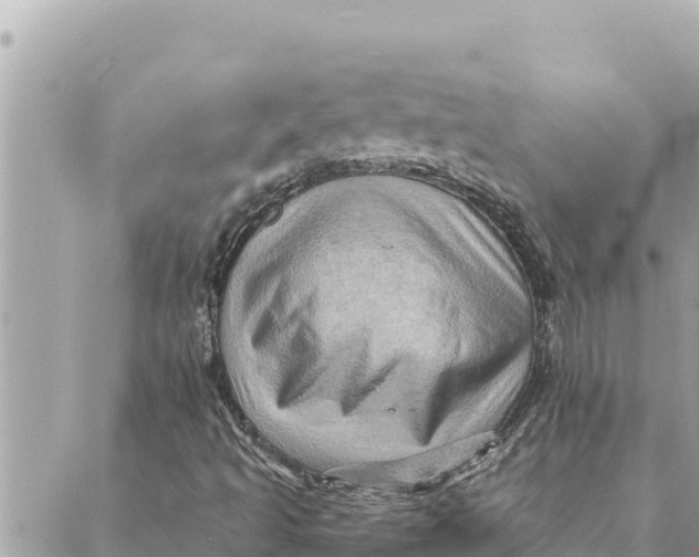 X0000088831493200706281742