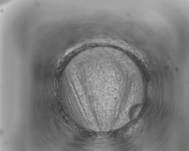 X0000088831494200706281742