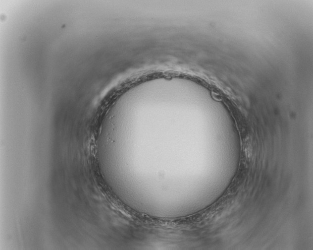 X0000088831495200706281743