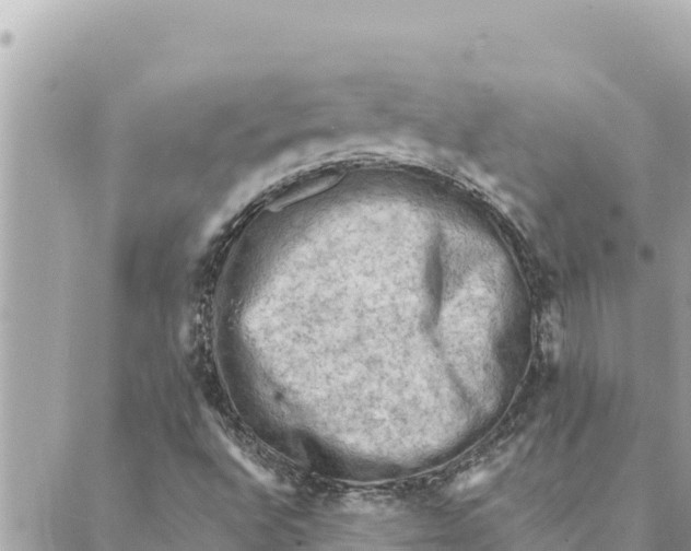 X0000088831496200706281743