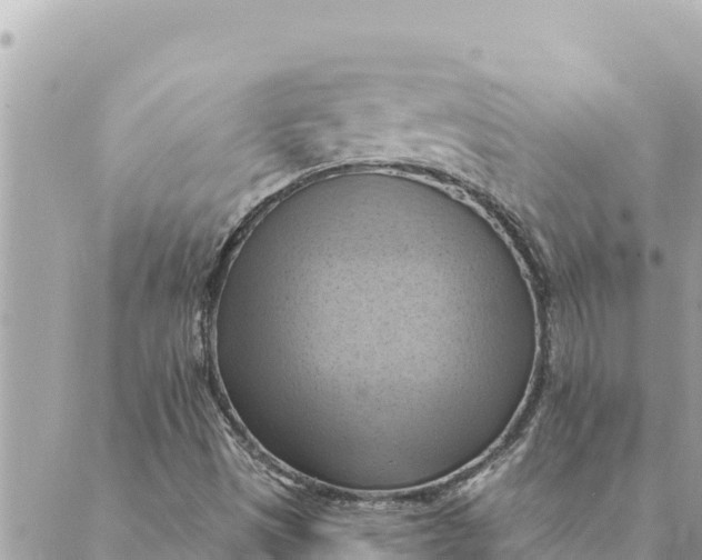 X0000088831497200706281743