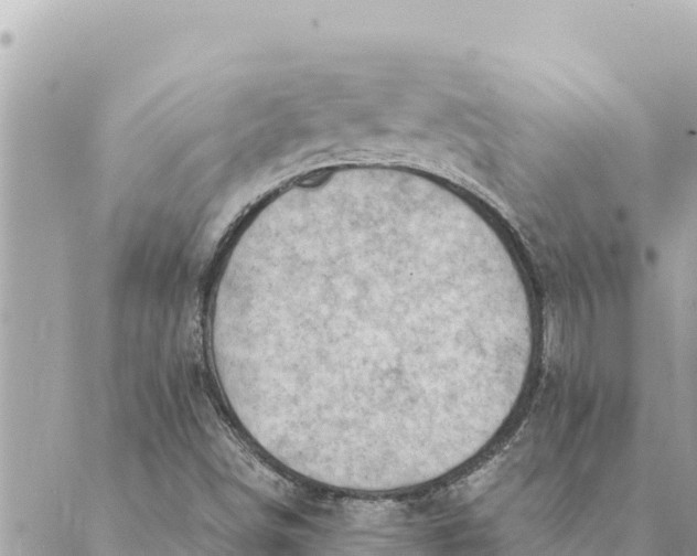 X0000088831498200706281743