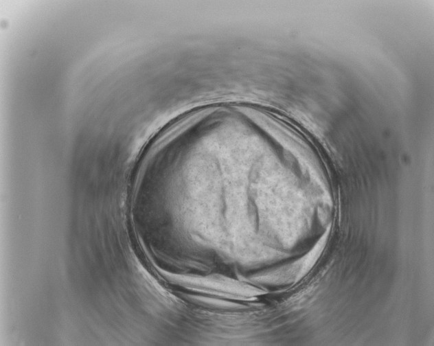 X0000088831500200706281743