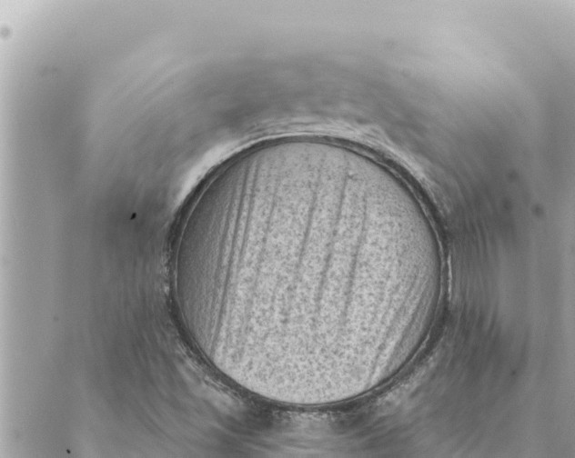 X0000088831501200706281743