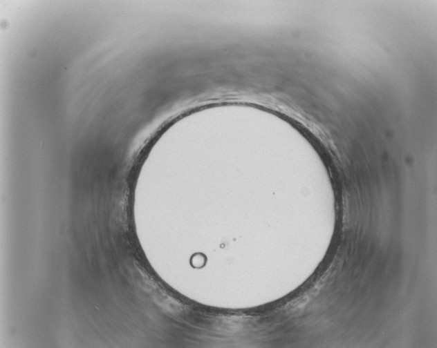 X0000088831502200706281743