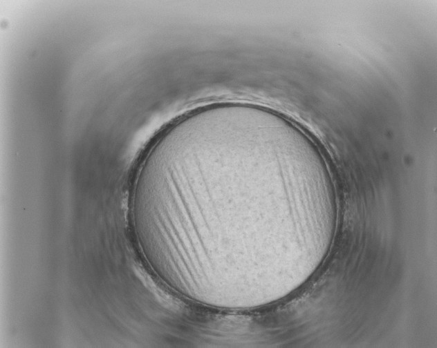 X0000088831503200706281743