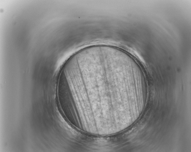 X0000088831504200706281743