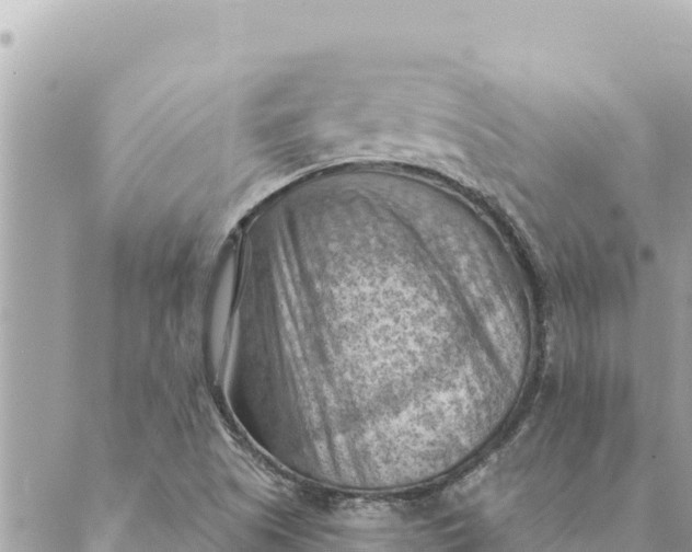 X0000088831505200706281743