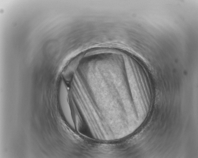 X0000088831506200706281743