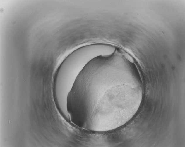 X0000088831508200706281743