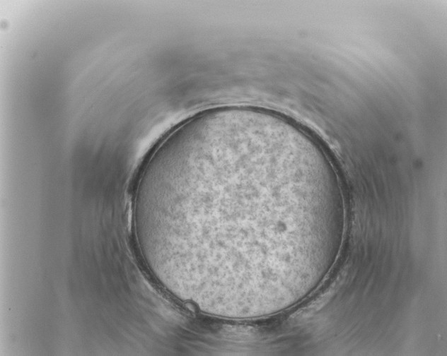 X0000088831509200706281743