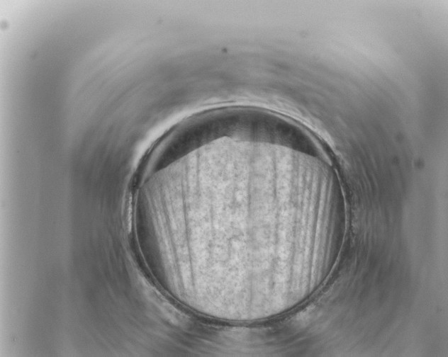 X0000088831510200706281743