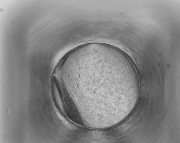 X0000088831511200706281743