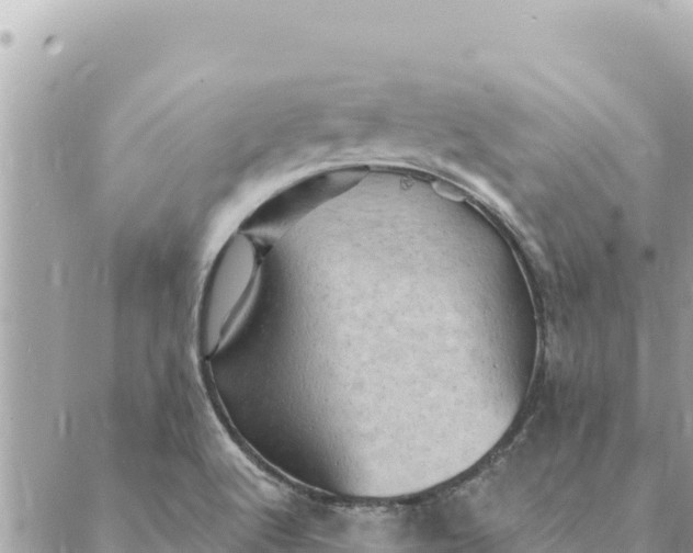 X0000088831512200706281743