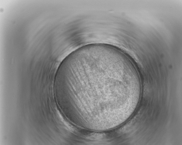 X0000088831513200706281743