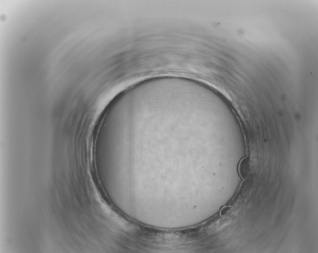 X0000088831515200706281743