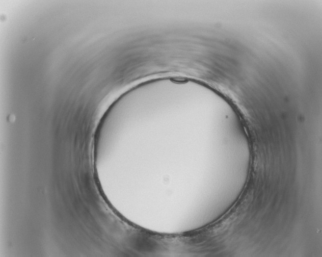 X0000088831516200706281743