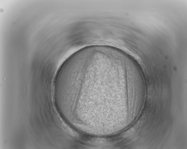 X0000088831517200706281743