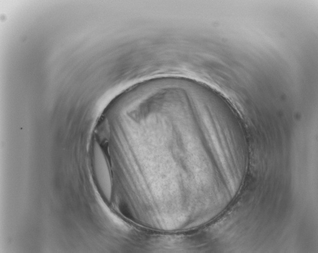 X0000088831519200706281743