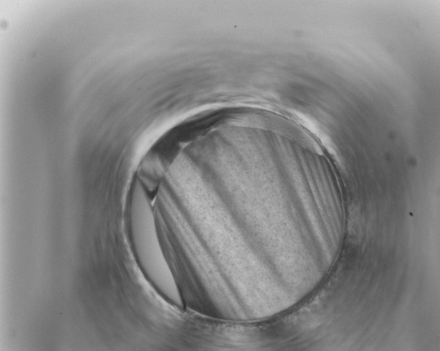 X0000088831520200706281743