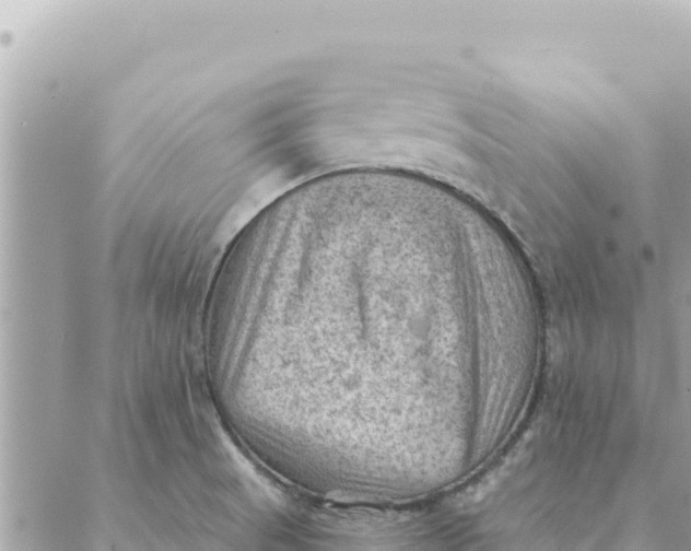 X0000088831521200706281743