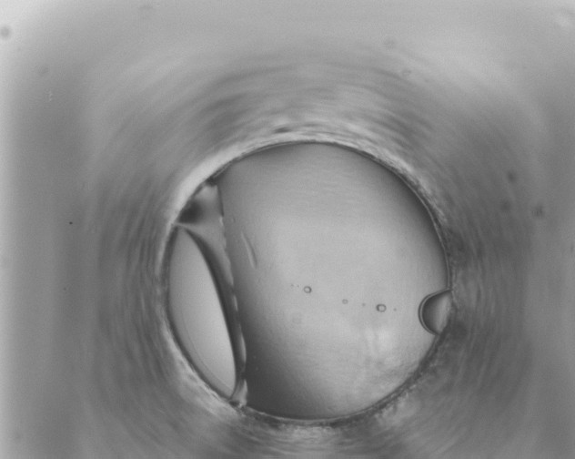 X0000088831522200706281743