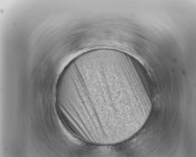 X0000088831523200706281743