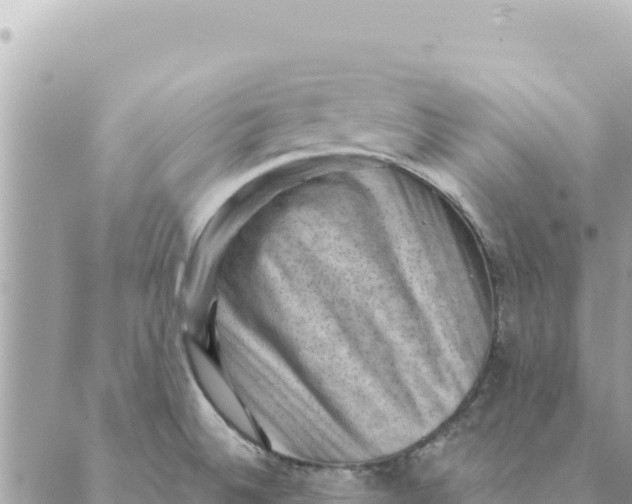 X0000088831524200706281743