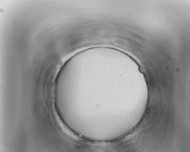 X0000088831526200706281743