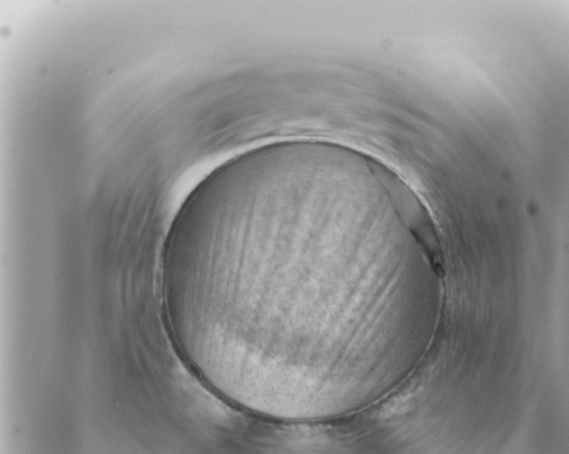 X0000088831527200706281743