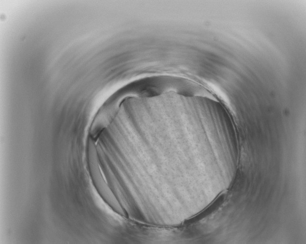 X0000088831528200706281743