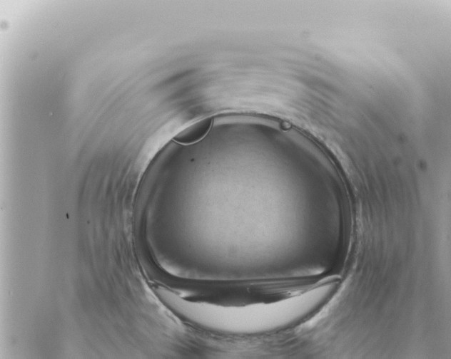 X0000088831529200706281743