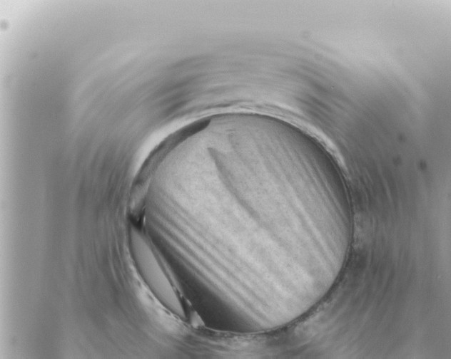 X0000088831530200706281743