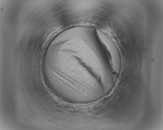 X0000088830001200707051434