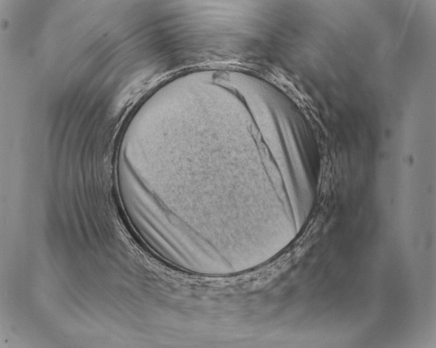 X0000088830002200707051434