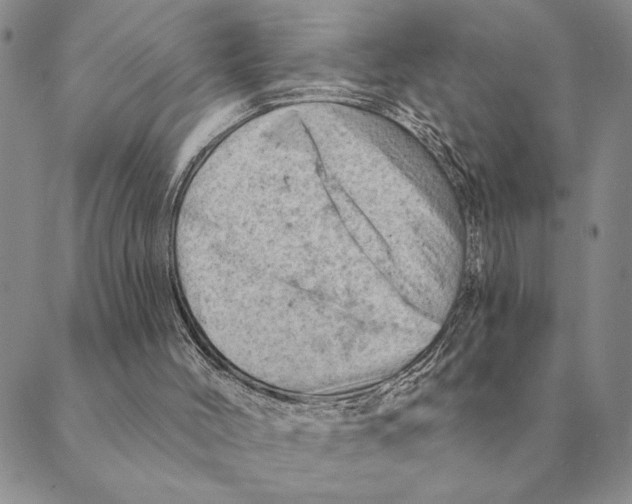 X0000088830004200707051434