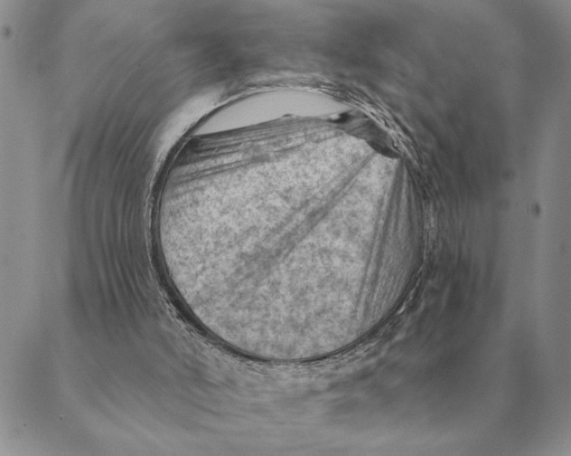 X0000088830006200707051433