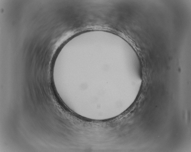 X0000088830008200707051433