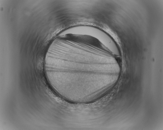 X0000088830009200707051433