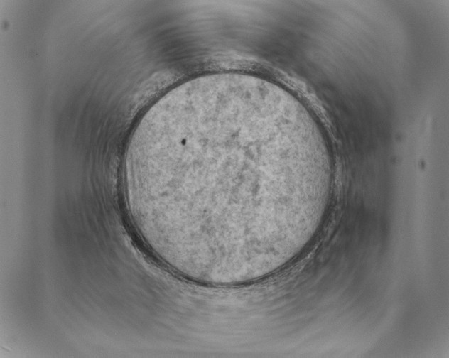 X0000088830010200707051433