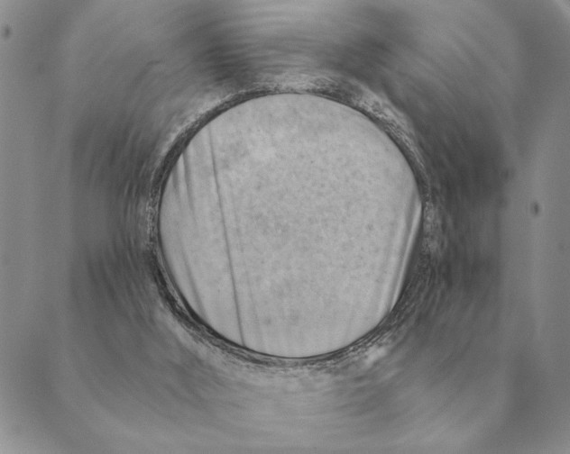 X0000088830012200707051433