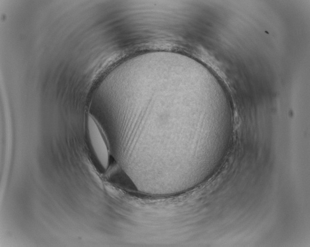 X0000088830013200707051433