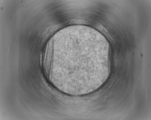 X0000088830014200707051433