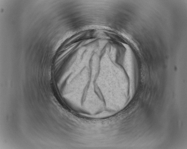 X0000088830015200707051433