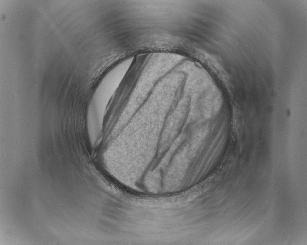 X0000088830017200707051433